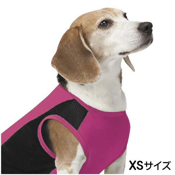 インセクトシールド ひんやり犬用タンクトップ カシス XS 555107 ドッグウェア クール 熱中...
