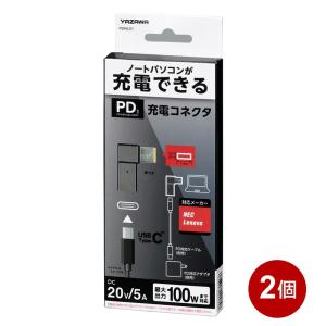 ヤザワ PD対応充電コネクタ 2個セット NEC専用 USB充電 変換コネクタ Type C PDNL01-2P｜cablestore