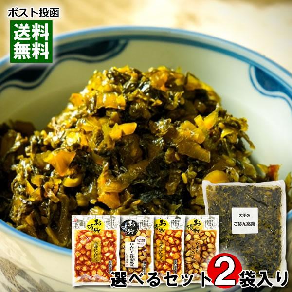 長崎県産 ごはん高菜 業務用 500g＆にんにくの漬物4種類から1つ選べる 計2袋入りお試しセット