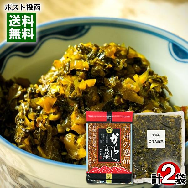大平食品 ごはん高菜 業務用 大袋 500g＆菊池食品 からし高菜 250g 各1袋お試しセット 九...