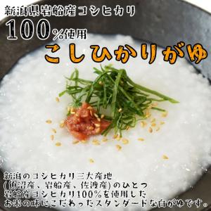 国産米のレトルトおかゆ 6種類から1つ+フリー...の詳細画像1