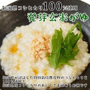 国産米のレトルトおかゆ 6種類から1つ+フリー...の詳細画像3