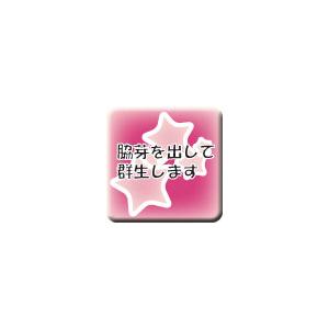 赤鬼城の詳細画像3