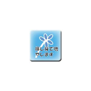 デレッセーナの詳細画像5