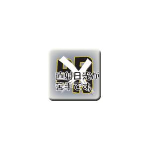 月の王子錦の詳細画像4