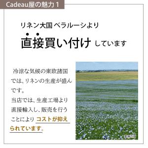リネン 生地 無地 薄地 幅広 150cm幅 ...の詳細画像5