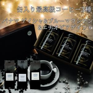 中国白酒 【20年陳醸】 汾酒・フェンチュウ（ふんしゅ）壺 42度 500ml