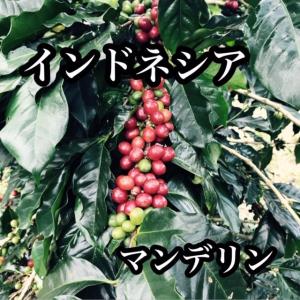 コーヒー豆 ドリップコーヒー コーヒー 珈琲豆 マンデリン シボルガ 600g｜cafe-adachi