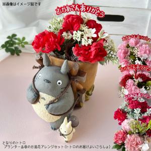 ジブリ グッズ ガーデニングプランター となりのトトロプランター