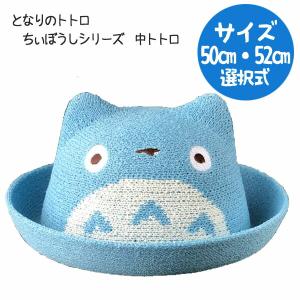 2025トトロさま専用 Amazon.co.jp: エンスカイ となりのトトロ 2025年スケジュール帳