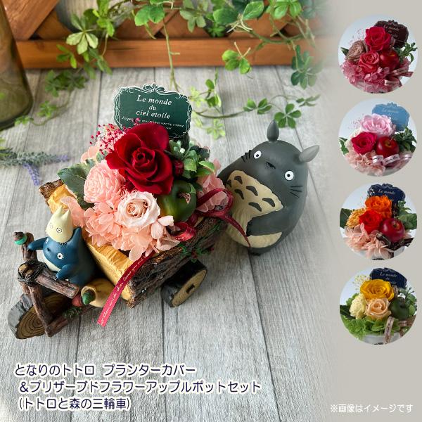 ジブリ グッズ 　プランターカバー＆プリザーブドフラワーアップルポットセット(トトロと森の三輪車)　...