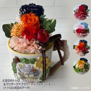 スタジオジブリ となりのトトロ 一輪挿し 森のじゃぐち (2025) ギフト