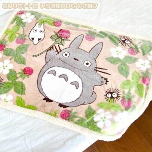 スタジオジブリ となりのトトロ オパール加工ブランケット デコボコ