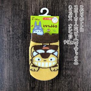 スタジオジブリ ジブリ グッズ となりのトトロ ちぃぼうしシリーズ 大