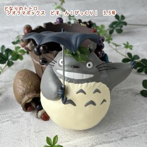 となりのトトロ　プランターカバー　雨の日のお届け ジブリプランターカバー】となりのトトロ プランターカバー 雨の