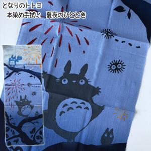 スタジオジブリ メール便OK ジブリ グッズ 天空の城ラピュタ 本染め