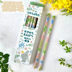 スタジオジブリ メール便OK ジブリ グッズ となりのトトロ ペンケース