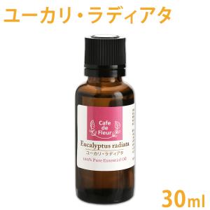 100%天然精油 ユーカリ・ラディアタ 30ml (ユーカリ ラジアータ ユーカリプタス エッセンシャルオイル Cafe de Fleur 手作り石鹸 アロマテラピー)(2007aroma)