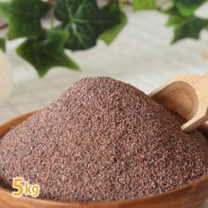 ヒマラヤ岩塩 ブラックソルト パウダー 5kg （ スプーン 選べるプレゼント付き セット ）（ 入浴剤 天然岩塩100% バスソルト 温活 黒塩 岩塩 塩 ソルト ）