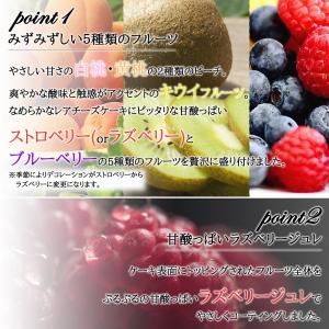 フルーツMIXレアチーズケーキ (誕生日ケーキ...の詳細画像3