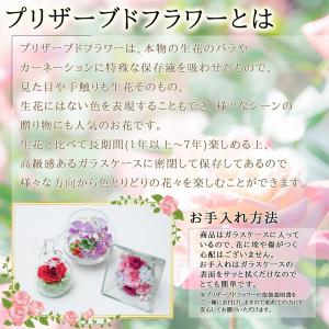 ブリザードフラワー ピュアフラワー(バラ:カー...の詳細画像4