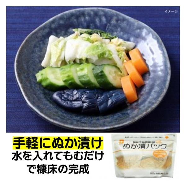 ぬか漬けの素 植物性 乳酸菌付 ぬか漬パック 600g ぬか床 ぬかづけ おうちでぬか着け ぬかどこ...