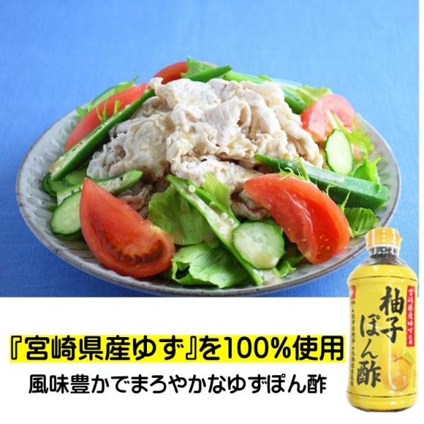 ゆずポン酢 ポン酢 宮崎県産 柚子 ぽん酢 500ml ファディ ポン酢しょうゆ だし入 しいたけだ...