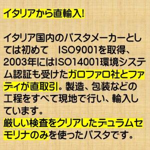 パスタ 麺 ファディ イタリア直輸入 SOLA...の詳細画像2
