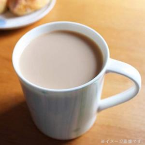 クリーミングパウダー スティック 2.5g×300Pの詳細画像5