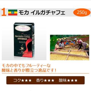 (福袋)コーヒー コーヒー豆 粉 お試し2種セ...の詳細画像2