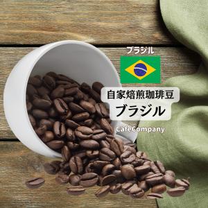 コーヒー豆 コロンビア スプレモ 200g 自家焙煎 珈琲豆 コーヒー