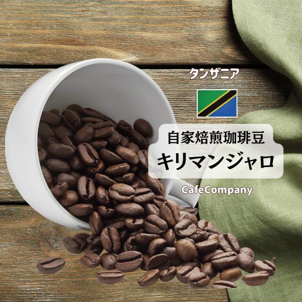 コーヒー豆 タンザニア キリマン 200g 自家焙煎珈琲豆 コーヒー カフェカンパニー