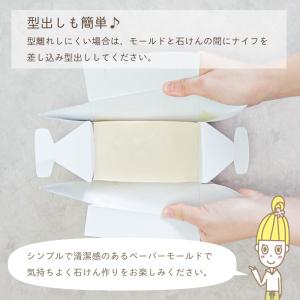 (ポストお届け可/50) 手作り石けん用ペーパ...の詳細画像5