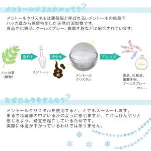 メントールクリスタル 50g (L-メントール...の詳細画像2
