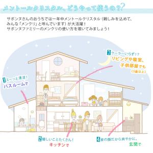 メントールクリスタル 50g (L-メントール...の詳細画像3
