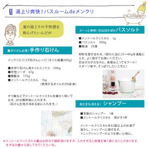 メントールクリスタル 100g (L-メントー...の詳細画像4