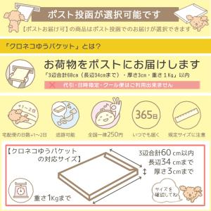 ロールオンボトル クリア 10ml (ガラス ...の詳細画像2