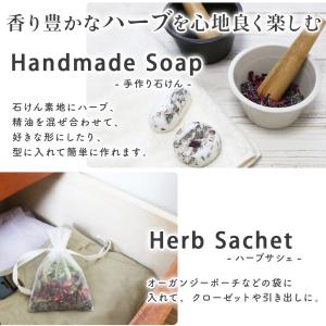 ジュニパーベリー (10g単位 量り売り)(ハ...の詳細画像3
