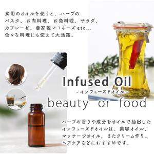 クコの実 (10g単位 ハーブ量り売り)(ドラ...の詳細画像4