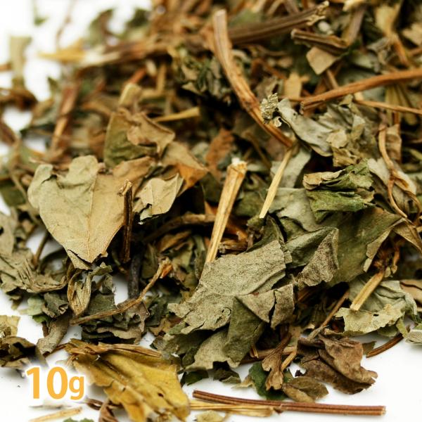 十薬 （どくだみ） 10g（国産 東洋ハーブ 天然ハーブ どくだみ茶 ドクダミ茶 ノンカフェイン 重...