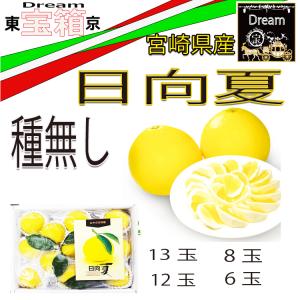 日向夏　8玉　種無し　等級　「秀」シール巻　箱入り　