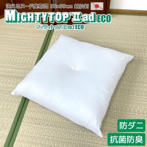 防ダニ 抗菌防臭 ヌード 座布団 55×59cm 銘仙判 洗える
