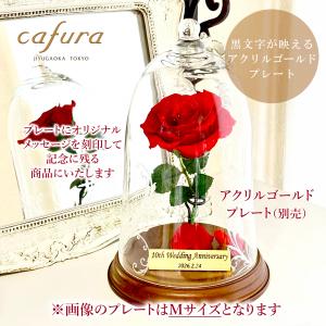 プリザーブドフラワー 美女と野獣 ガラスドーム...の詳細画像4