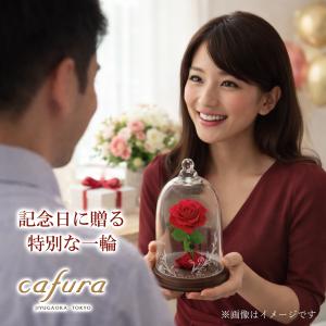 プリザーブドフラワー 美女と野獣 ガラスドーム...の詳細画像1