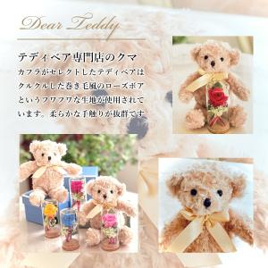 プレゼント プリザーブドフラワー ぬいぐるみ ...の詳細画像4