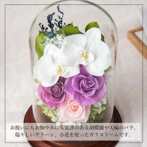 プリザーブドフラワー ギフト 胡蝶蘭 バラ 4...の詳細画像1