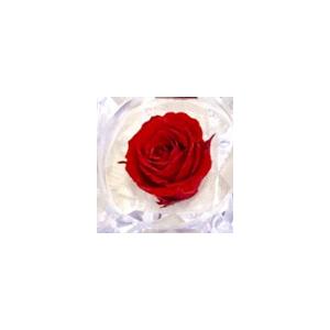 プリザーブドフラワー 花 プチギフト プレゼン...の詳細画像3