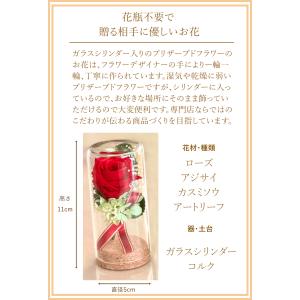 プリザーブドフラワー ボトルフラワー 枯れない...の詳細画像2