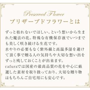 プリザーブドフラワー ボトルフラワー 枯れない...の詳細画像5