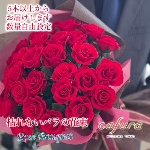 ハローキティ バースデーKitty 12月 (ラピスラズリ) : パーティ